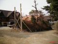 gate pine 01.jpg